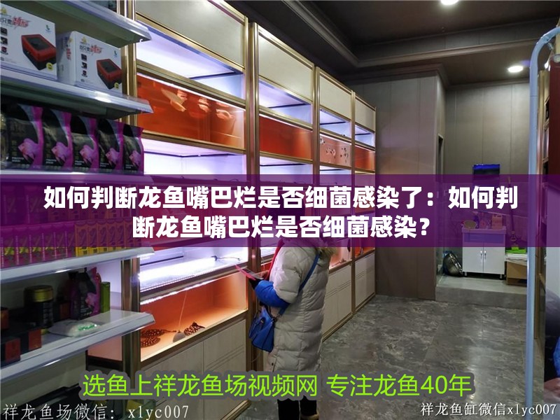 如何判斷龍魚(yú)嘴巴爛是否細(xì)菌感染了：如何判斷龍魚(yú)嘴巴爛是否細(xì)菌感染？