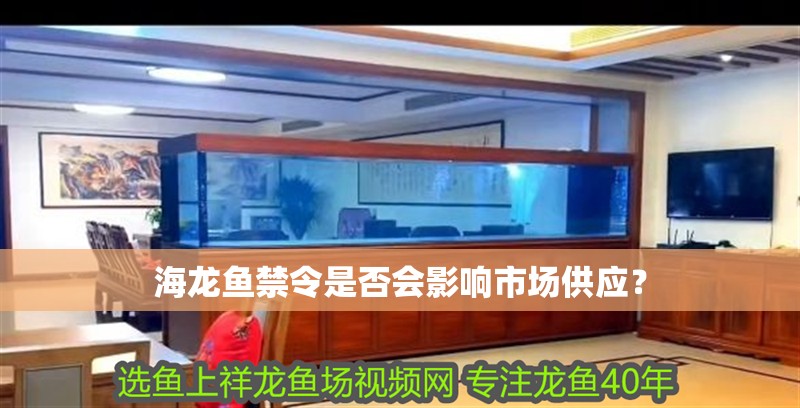 海龍魚禁令是否會影響市場供應？