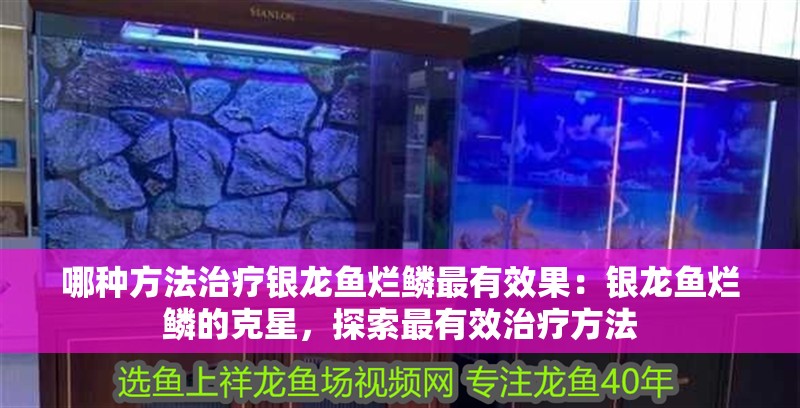 哪種方法治療銀龍魚爛鱗最有效果：銀龍魚爛鱗的克星，探索最有效治療方法