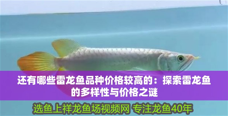 還有哪些雷龍魚品種價格較高的：探索雷龍魚的多樣性與價格之謎