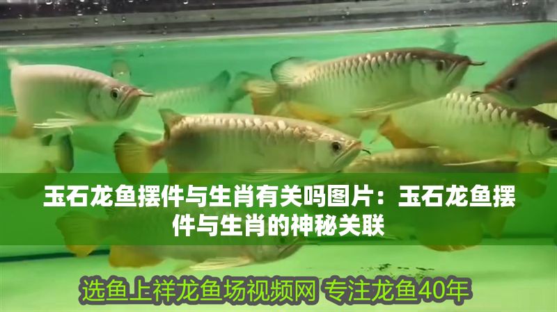 玉石龍魚擺件與生肖有關(guān)嗎圖片：玉石龍魚擺件與生肖的神秘關(guān)聯(lián)
