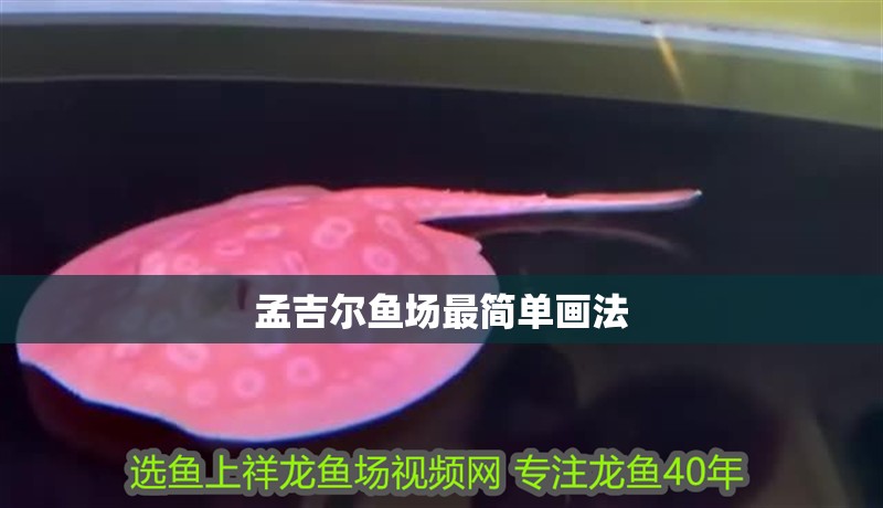 孟吉爾魚場最簡單畫法 孟吉爾魚場最簡單畫法 龍魚百科