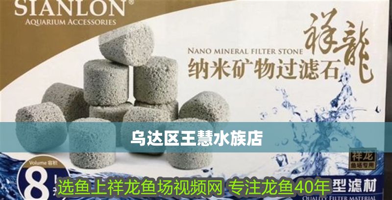 烏達區王慧水族店