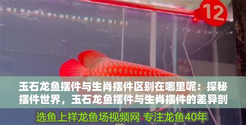 玉石龍魚擺件與生肖擺件區別在哪里呢：探秘擺件世界，玉石龍魚擺件與生肖擺件的差異剖析