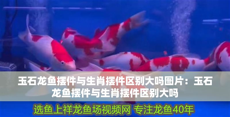 玉石龍魚擺件與生肖擺件區別大嗎圖片：玉石龍魚擺件與生肖擺件區別大嗎