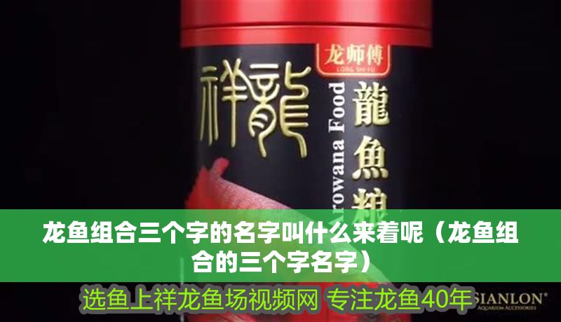 龍魚組合三個字的名字叫什么來著呢（龍魚組合的三個字名字）