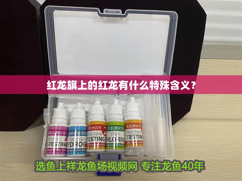 紅龍旗上的紅龍有什么特殊含義？