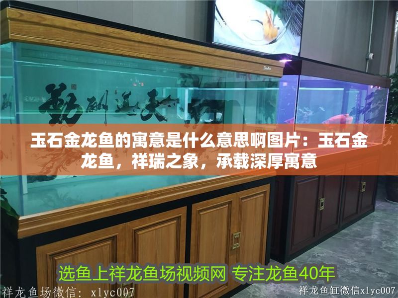 玉石金龍魚的寓意是什么意思啊圖片：玉石金龍魚，祥瑞之象，承載深厚寓意