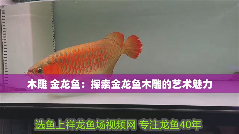 木雕 金龍魚：探索金龍魚木雕的藝術(shù)魅力 木雕 金龍魚：探索金龍魚木雕的藝術(shù)魅力 水族問(wèn)答