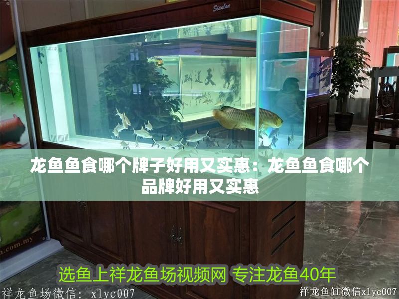 龍魚魚食哪個牌子好用又實惠：龍魚魚食哪個品牌好用又實惠