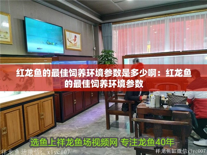 紅龍魚的最佳飼養(yǎng)環(huán)境參數(shù)是多少?。杭t龍魚的最佳飼養(yǎng)環(huán)境參數(shù)