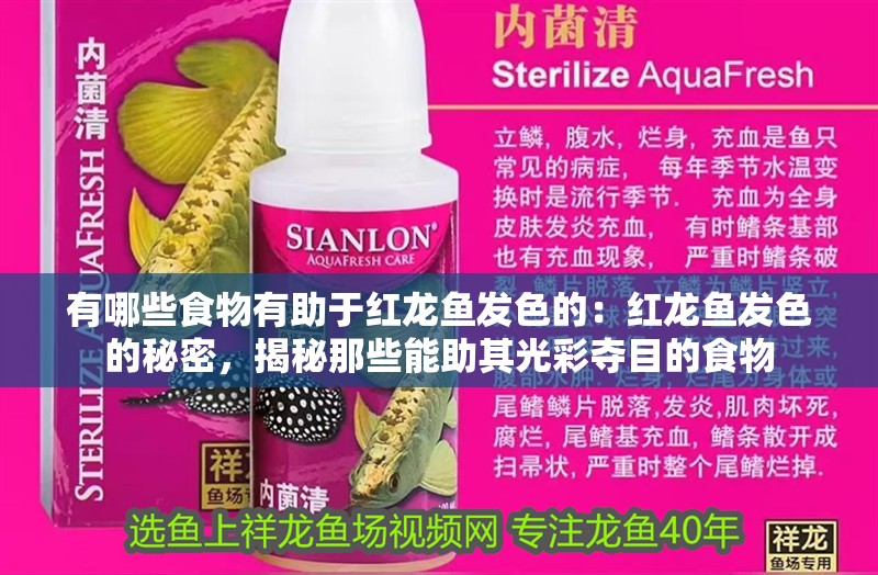 有哪些食物有助于紅龍魚發色的：紅龍魚發色的秘密，揭秘那些能助其光彩奪目的食物