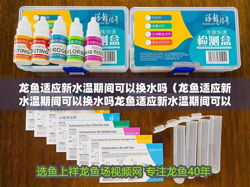 龍魚適應新水溫期間可以換水嗎（龍魚適應新水溫期間可以換水嗎龍魚適應新水溫期間可以換水嗎）