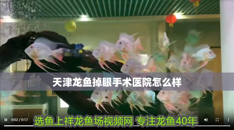 天津龍魚掉眼手術醫院怎么樣