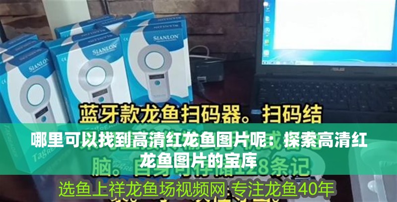 哪里可以找到高清紅龍魚圖片呢：探索高清紅龍魚圖片的寶庫