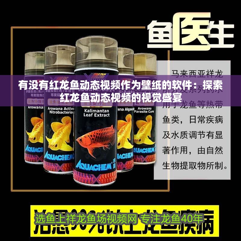有沒有紅龍魚動態視頻作為壁紙的軟件：探索紅龍魚動態視頻的視覺盛宴