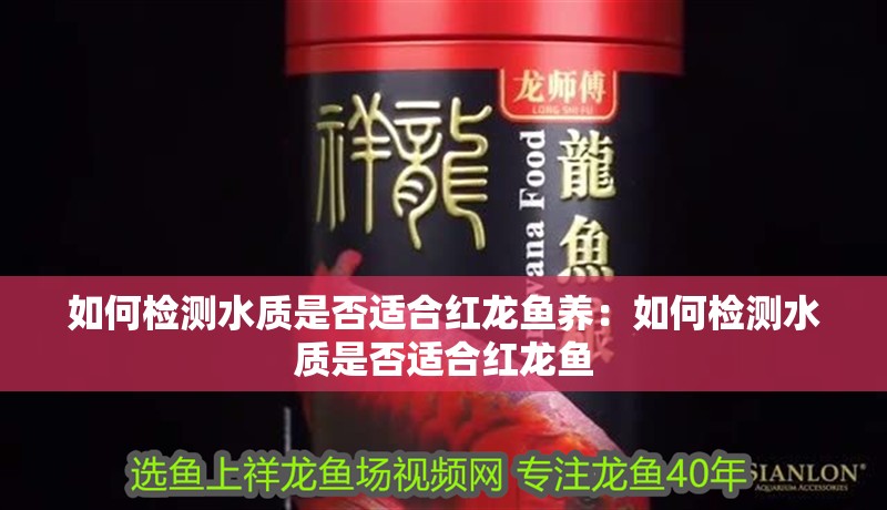 如何檢測(cè)水質(zhì)是否適合紅龍魚(yú)養(yǎng)：如何檢測(cè)水質(zhì)是否適合紅龍魚(yú)