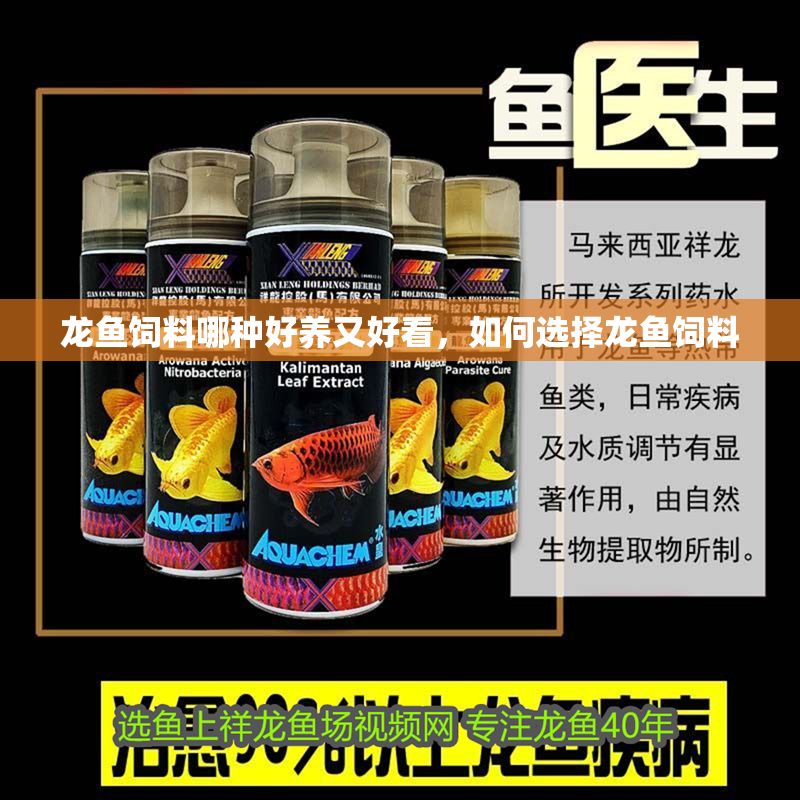 龍魚飼料哪種好養又好看，如何選擇龍魚飼料