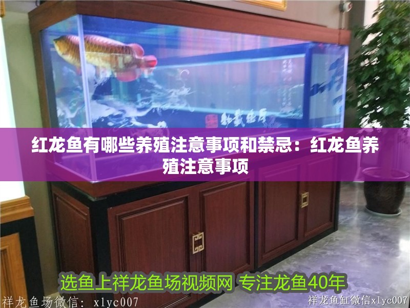 紅龍魚有哪些養(yǎng)殖注意事項(xiàng)和禁忌：紅龍魚養(yǎng)殖注意事項(xiàng)