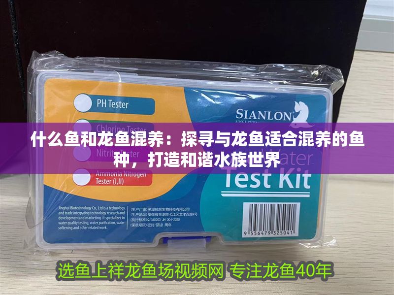 什么魚(yú)和龍魚(yú)混養(yǎng)：探尋與龍魚(yú)適合混養(yǎng)的魚(yú)種，打造和諧水族世界