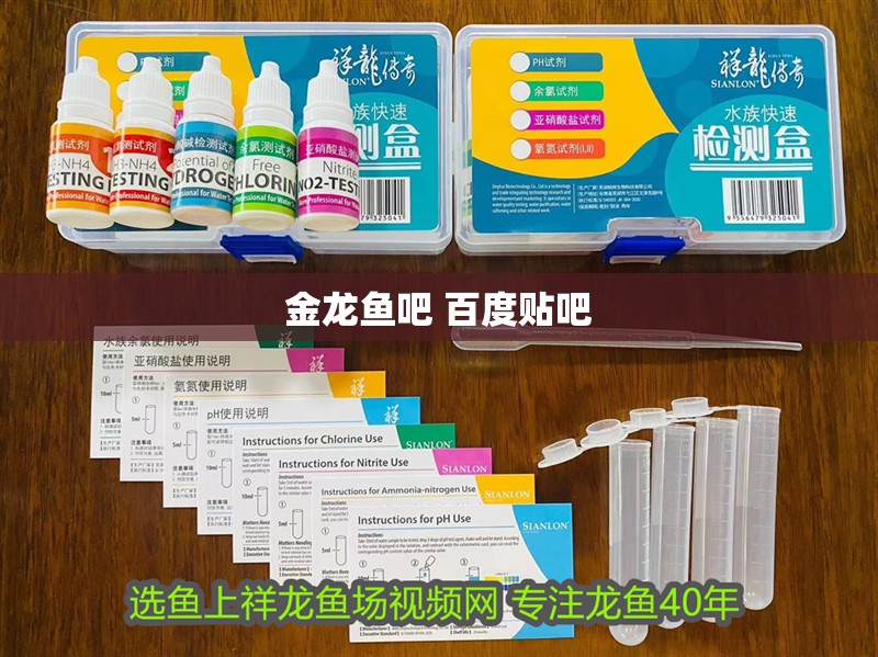 印度尼西亞紅龍魚價格 金龍魚吧 百度貼吧 龍魚百科 金龍魚吧 百度貼吧 金龍魚吧 百度貼吧 龍魚百科