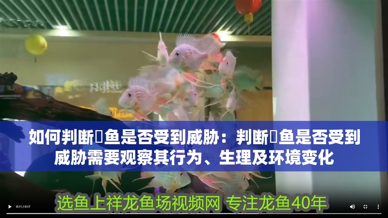 如何判斷魟魚是否受到威脅：判斷魟魚是否受到威脅需要觀察其行為、生理及環境變化