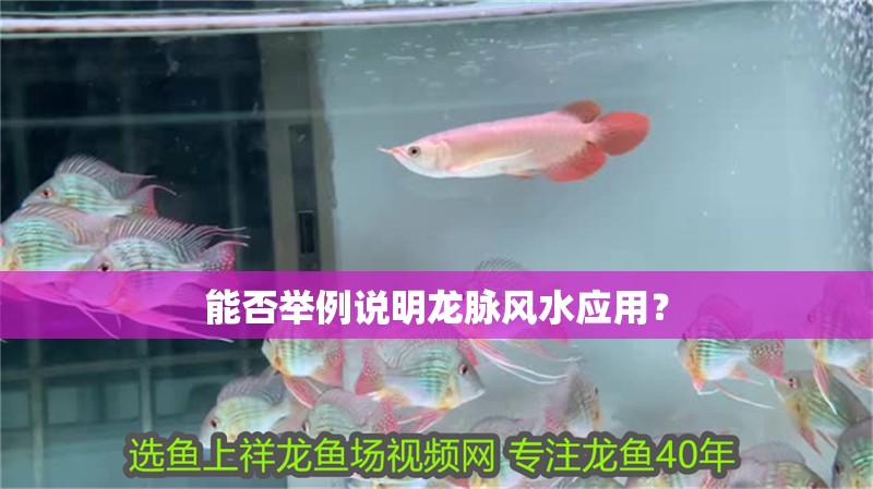 能否舉例說明龍脈風水應用？