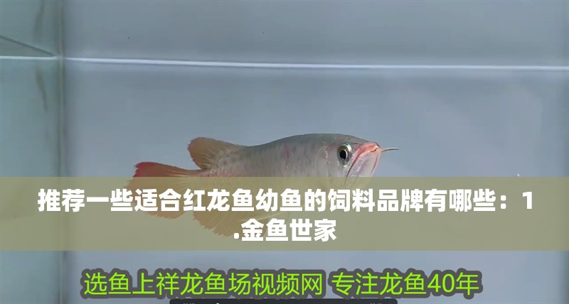 推薦一些適合紅龍魚幼魚的飼料品牌有哪些：1.金魚世家
