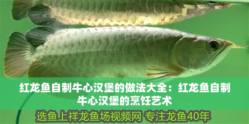 紅龍魚自制牛心漢堡的做法大全：紅龍魚自制牛心漢堡的烹飪藝術(shù)