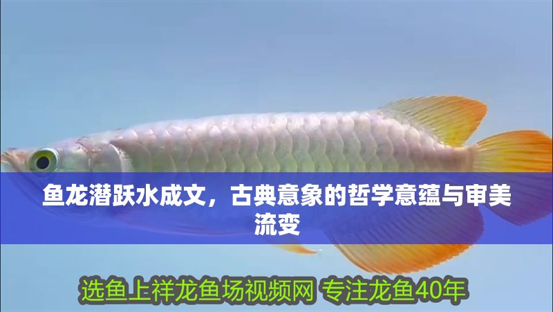 魚龍潛躍水成文，古典意象的哲學(xué)意蘊(yùn)與審美流變