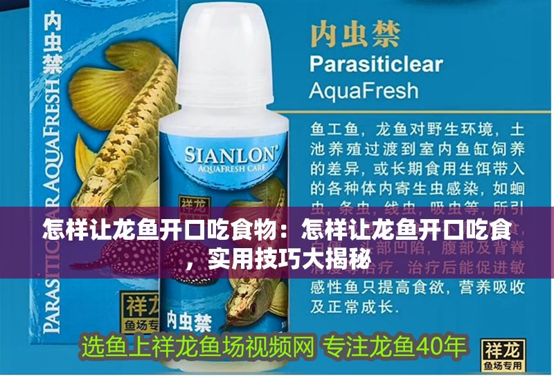 怎樣讓龍魚開口吃食物：怎樣讓龍魚開口吃食，實用技巧大揭秘