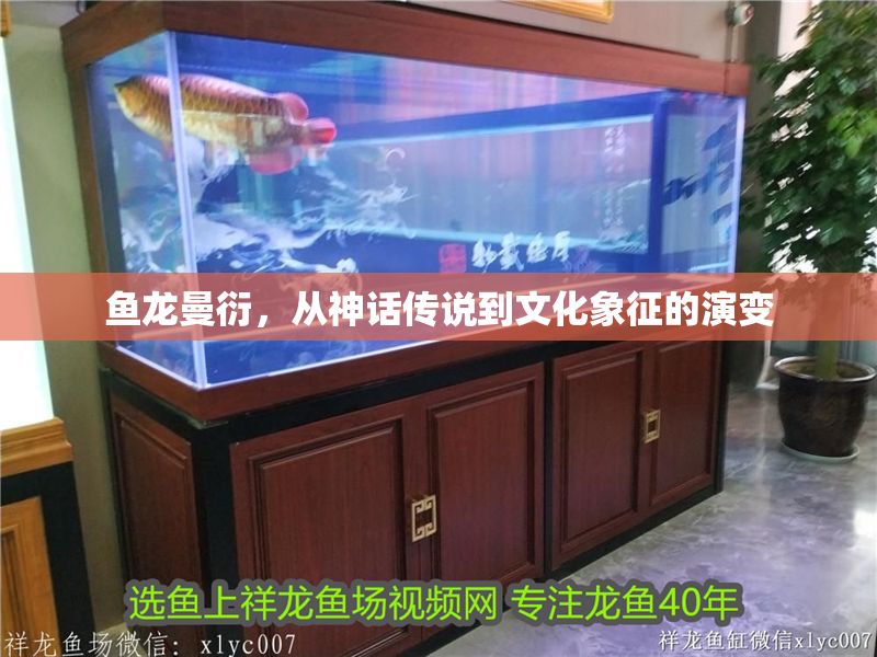 魚龍曼衍，從神話傳說到文化象征的演變 魚龍曼衍，從神話傳說到文化象征的演變 龍魚百科 第1張