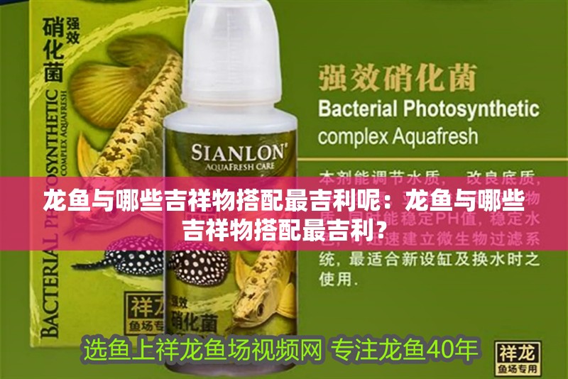 龍魚與哪些吉祥物搭配最吉利呢：龍魚與哪些吉祥物搭配最吉利？