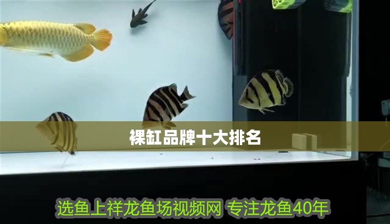 裸缸品牌十大排名