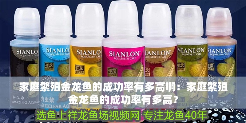 家庭繁殖金龍魚的成功率有多高?。杭彝シ敝辰瘕堲~的成功率有多高？