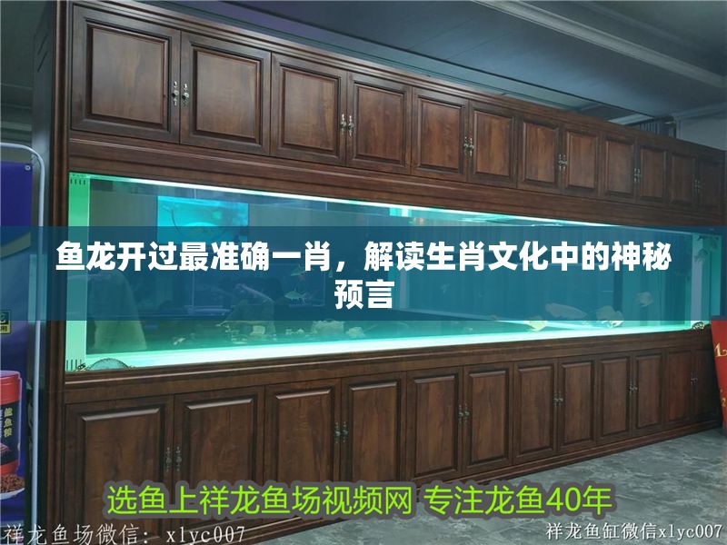 魚龍開過最準(zhǔn)確一肖，解讀生肖文化中的神秘預(yù)言