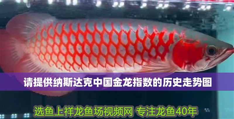 請提供納斯達克中國金龍指數的歷史走勢圖