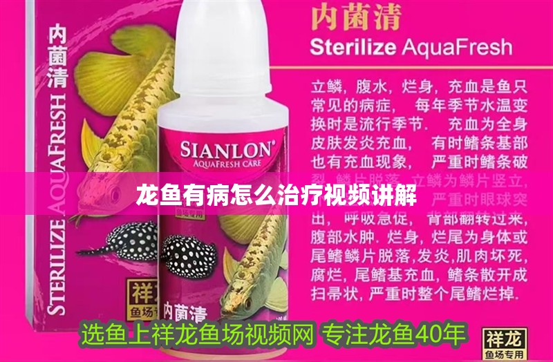 龍魚有病怎么治療視頻講解 龍魚有病怎么治療視頻講解 龍魚百科