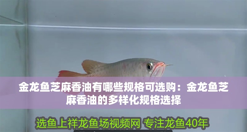 金龍魚芝麻香油有哪些規格可選購：金龍魚芝麻香油的多樣化規格選擇