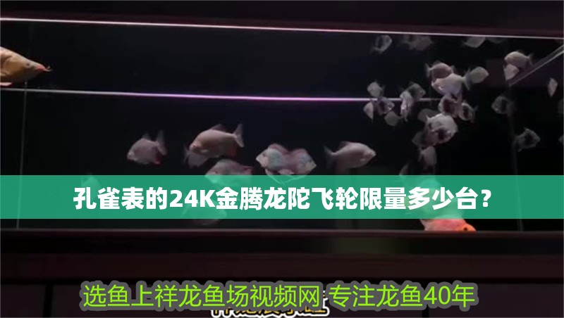 孔雀表的24K金騰龍陀飛輪限量多少臺？