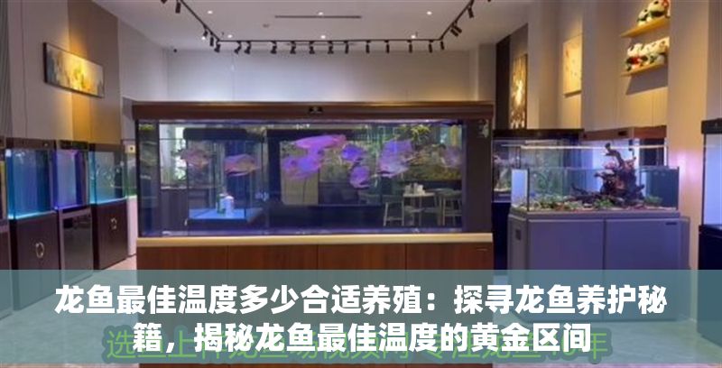 龍魚最佳溫度多少合適養殖：探尋龍魚養護秘籍，揭秘龍魚最佳溫度的黃金區間