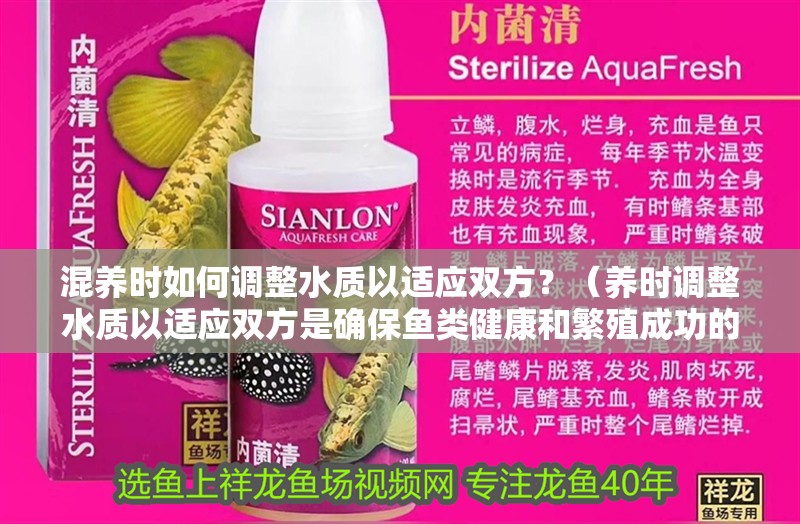 混養時如何調整水質以適應雙方？（養時調整水質以適應雙方是確保魚類健康和繁殖成功的關鍵）