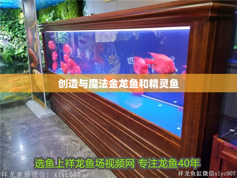創(chuàng)造與魔法金龍魚和精靈魚