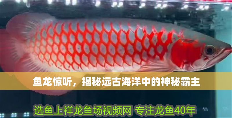 魚龍驚聽，揭秘遠古海洋中的神秘霸主