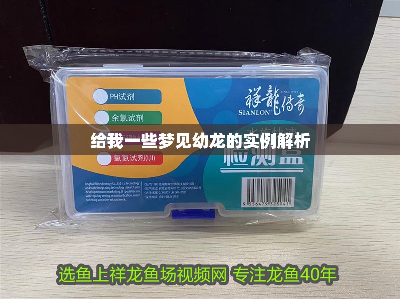 給我一些夢見幼龍的實例解析