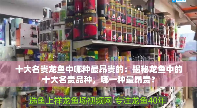 什么魚能和龍魚、虎魚混養(龍魚能和虎魚混養嗎) 養龍魚講究白缸藍缸是什么意思(養龍魚時缸色的選擇有講究) 龍魚百科 養龍魚講究白缸藍缸是什么意思(養龍魚時缸色的選擇有講究) 養龍魚講究白缸藍缸是什么意思(養龍魚時缸色的選擇有講究) 龍魚百科