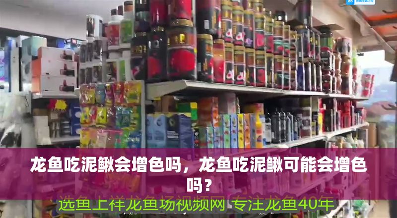 龍魚吃泥鰍會增色嗎，龍魚吃泥鰍可能會增色嗎？