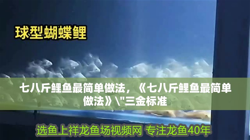 七八斤鯉魚最簡單做法，《七八斤鯉魚最簡單做法》\