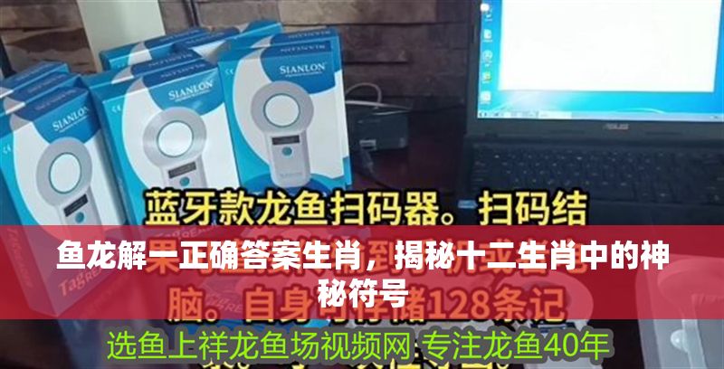 魚龍解一正確答案生肖，揭秘十二生肖中的神秘符號