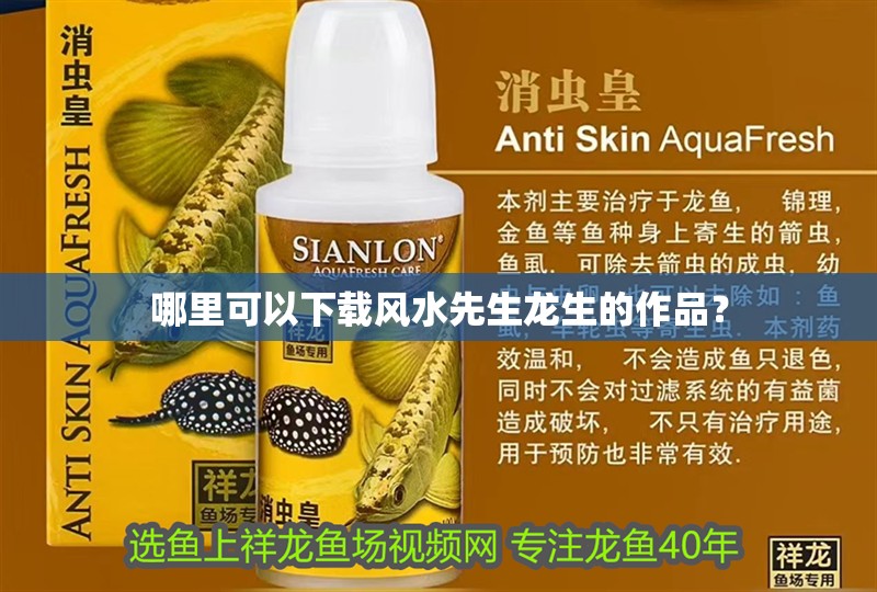 哪里可以下載風水先生龍生的作品？